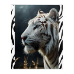 White tiger acrylic print
