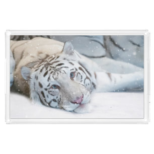 White Tiger Acrylic Tray
