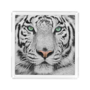 White Tiger Acrylic Tray