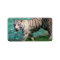 White tiger against blue water walking photograph
