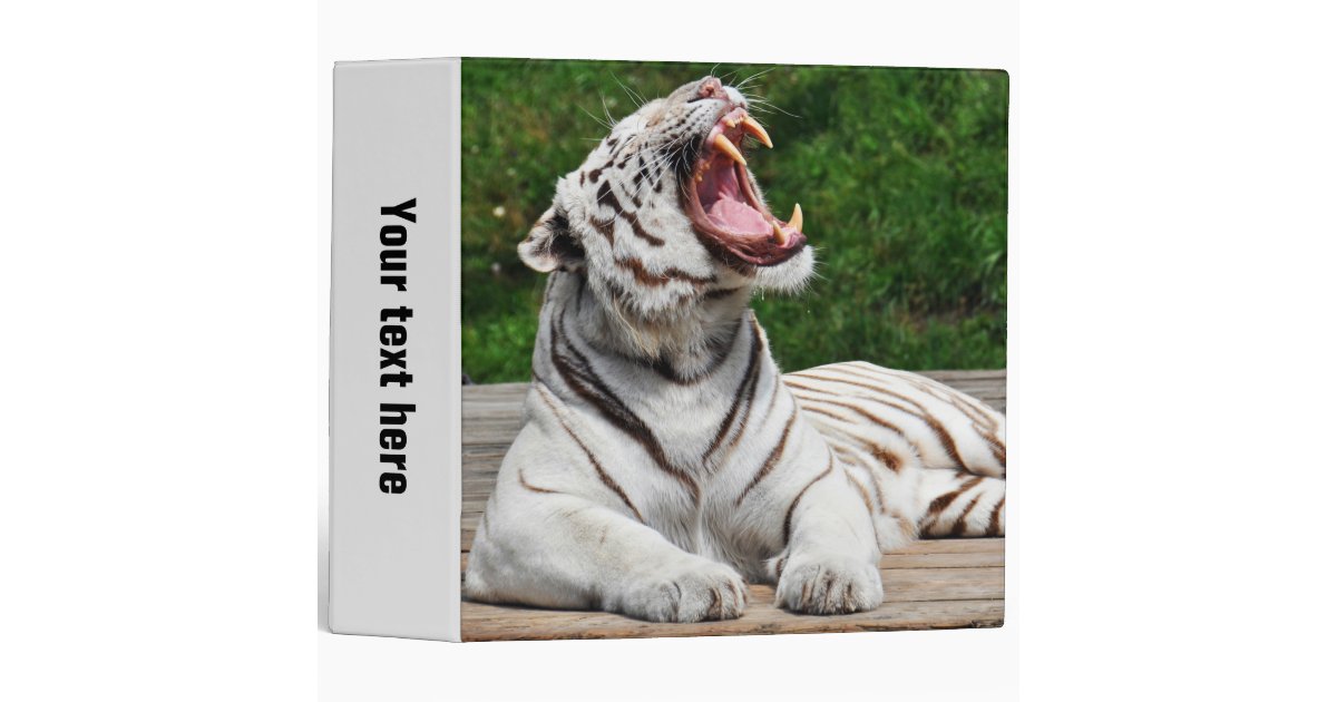 Bengals “White Tiger” design I made : r/bengals