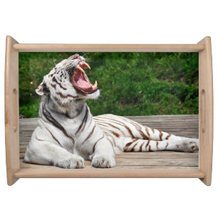 White Tiger, Bengal Tiger Serving Tray