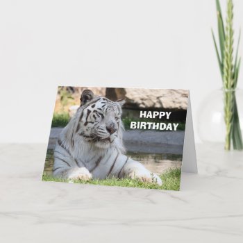 White Tiger Birthday Card by KKHPhotosVarietyShop at Zazzle