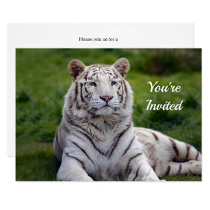 Tiger Birthday Invitations | Zazzle