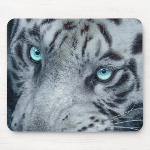 White Tiger by night Mouse Pad