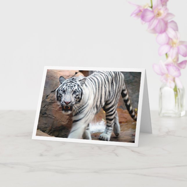 White Tiger Card (Orchid)