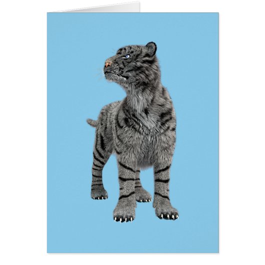 White Tiger Cards (Front)