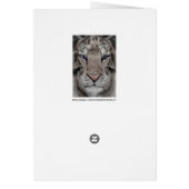 White Tiger Cards (Back)