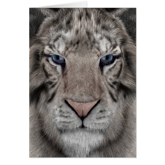 White Tiger Cards (Front)