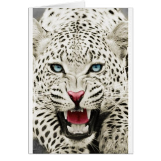white tiger cards