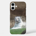 White Tiger iPhone 16 Plus Case