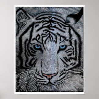 White Tiger - Casper Poster