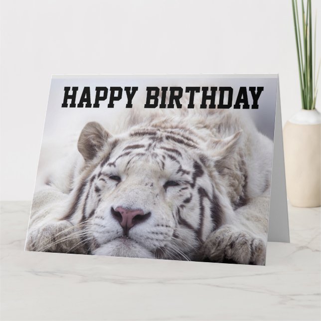 WHITE TIGER CAT NAP, EAT CAKE, BIRTHDAY BIG CARD (Front)