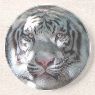 White Tiger Close Up Drink Coaster