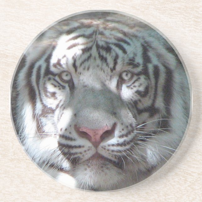 White Tiger Close Up Drink Coaster (Front)