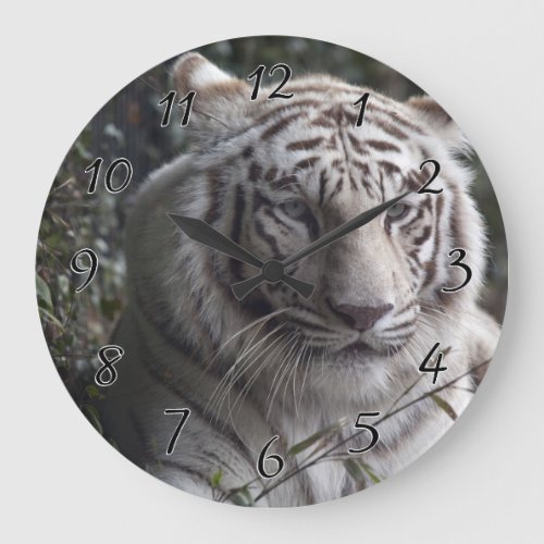 White Tiger Close_up Large Clock