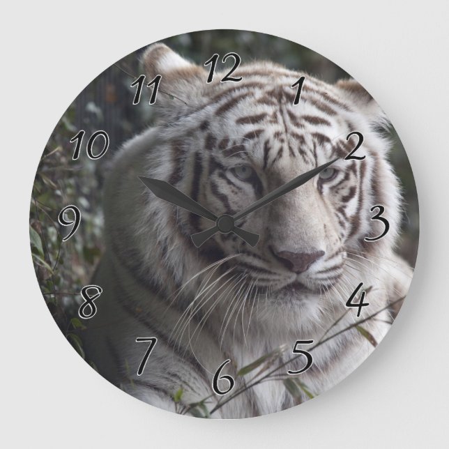 White Tiger Close-up Large Clock (Front)