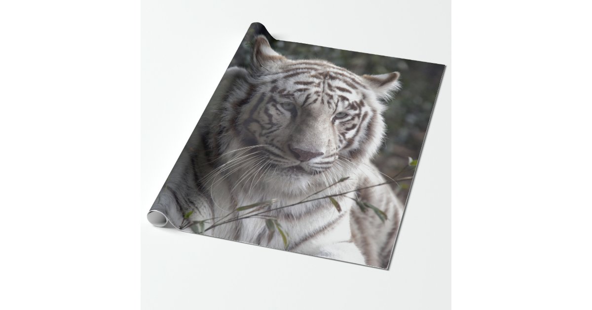 White tiger term paper picture