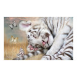 White Tiger Dreams Fine Art Poster/Print Poster