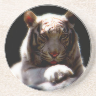 White Tiger Drink Coaster – Moody Wildlife Art