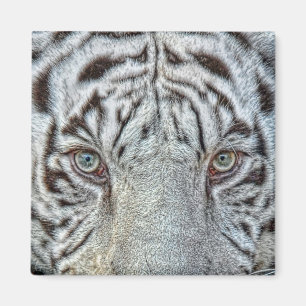White Tiger Eyes Magnet