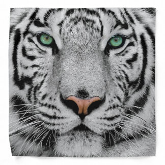 WHITE TIGER FACE CLOSE-UP BANDANA