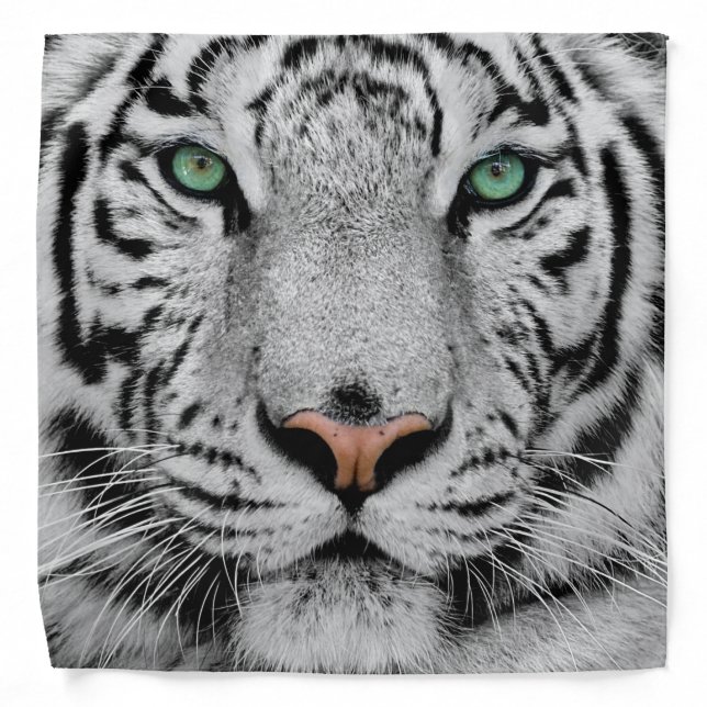 WHITE TIGER FACE CLOSE-UP BANDANA (Front)