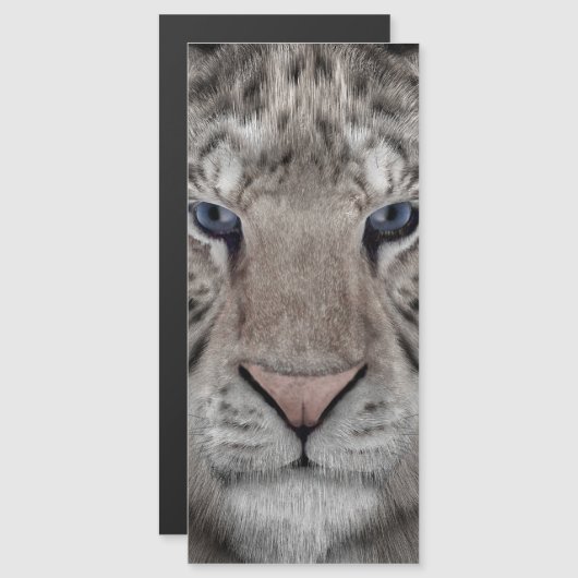 white_tiger_head (Front/Back)