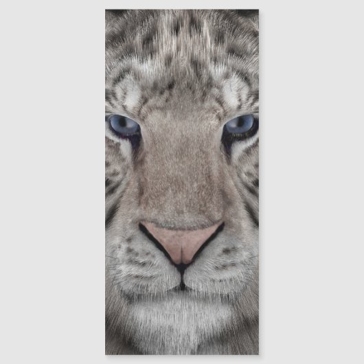 white_tiger_head (Front)