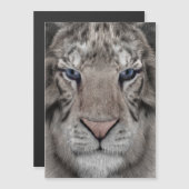 white_tiger_head (Front/Back)