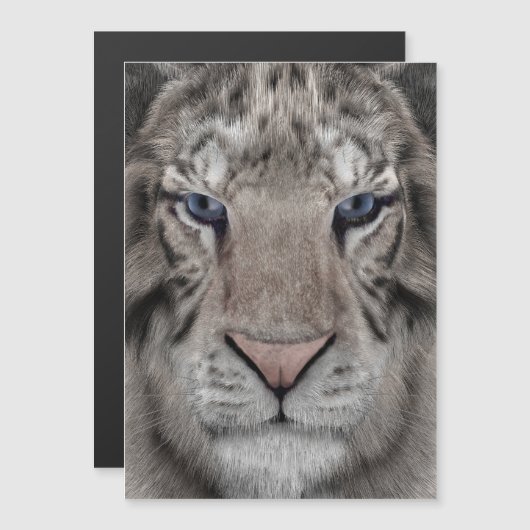 white_tiger_head (Front/Back)