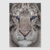white_tiger_head (Front)