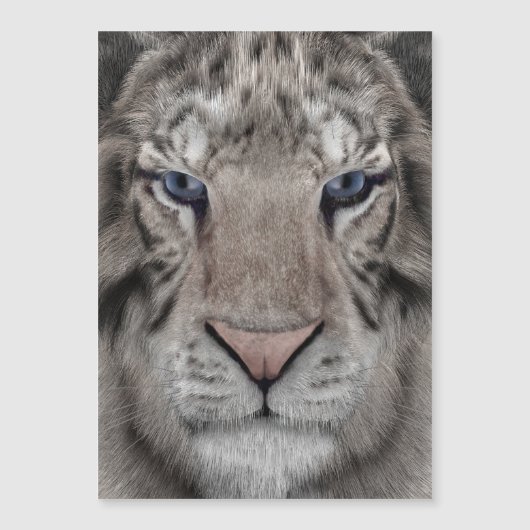 white_tiger_head (Front)