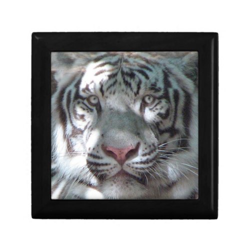 White Tiger Head Shot Jewelry Box