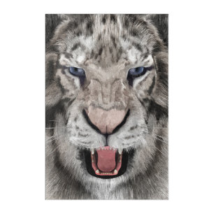 White Tiger Head Wildlife Aesthetic Acrylic Print