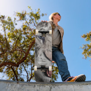 White Tiger Head Wildlife Aesthetic Skateboard