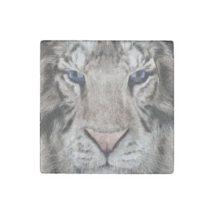 White Tiger Head Wildlife Aesthetic Stone Magnet