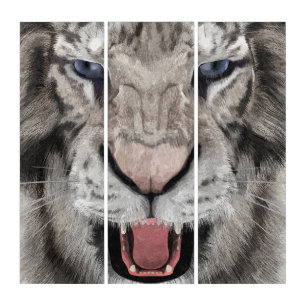 White Tiger Head Wildlife Aesthetic Triptych