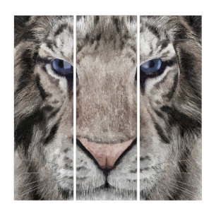 White Tiger Head Wildlife Aesthetic Triptych