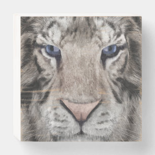 White Tiger Head Wildlife Aesthetic Wooden Box Sign