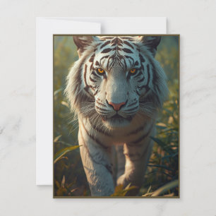 White tiger holiday card