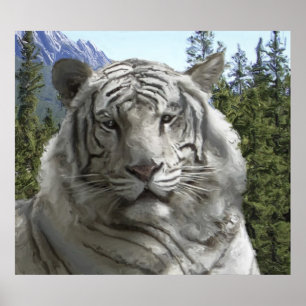 WHITE TIGER in its FOREST HABITAT Poster
