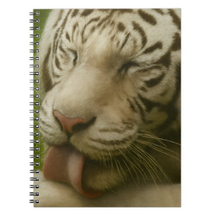 White Tiger in Private Grooming Ritual Notebook