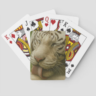 White Tiger in Private Grooming Ritual Poker Cards