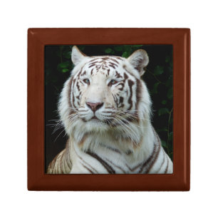 White Tiger Jewelry Box