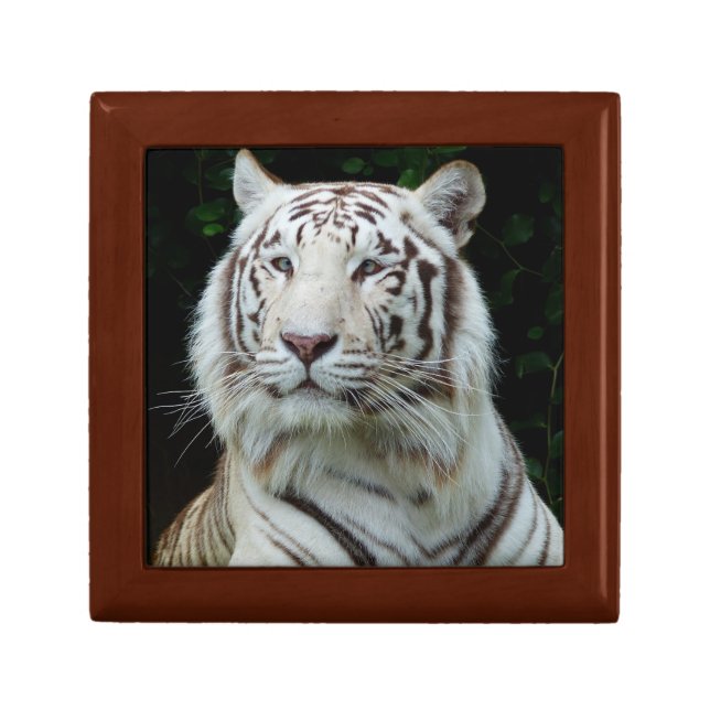 White Tiger Jewelry Box (Front)
