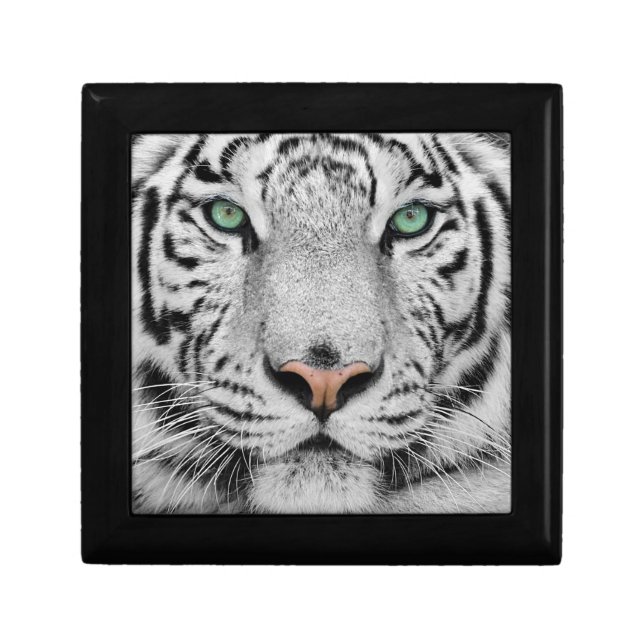 White Tiger Jewelry Box (Front)