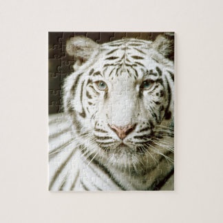 White Tiger Jigsaw Puzzle