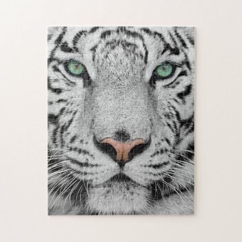 White Tiger Jigsaw Puzzle