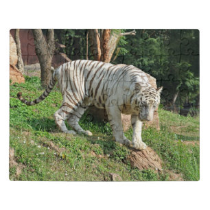 White Tiger Jigsaw Puzzle